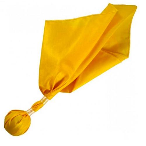 Long Toss Gold Penalty Flags – Officials Gear Outlet